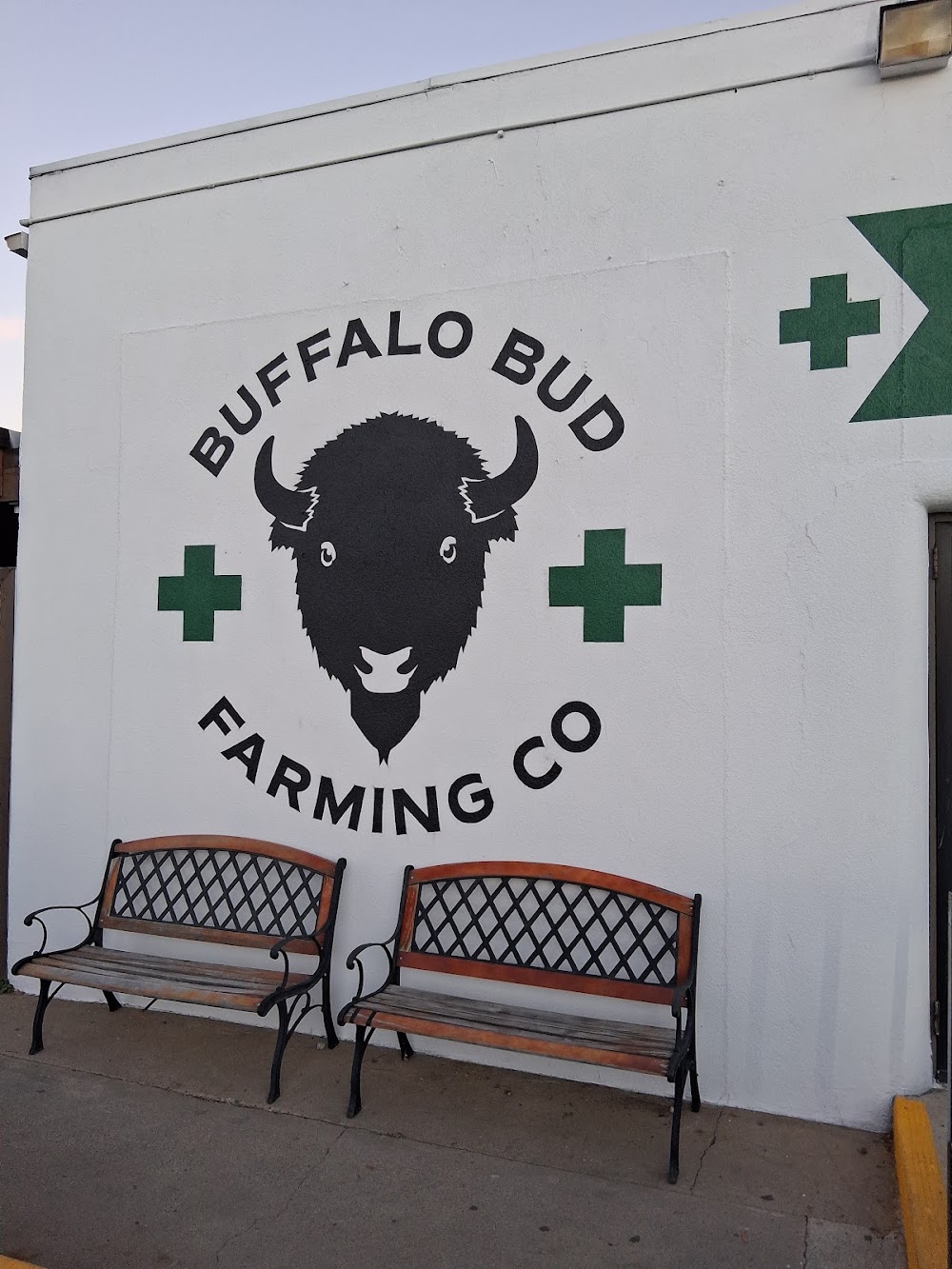 Buffalo Bud photo 6