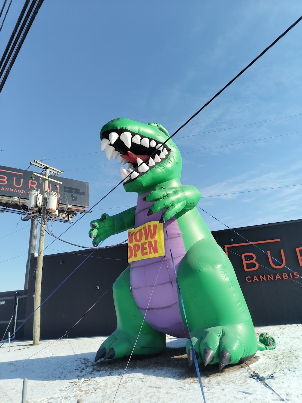 Burn Cannabis Retail photo 7