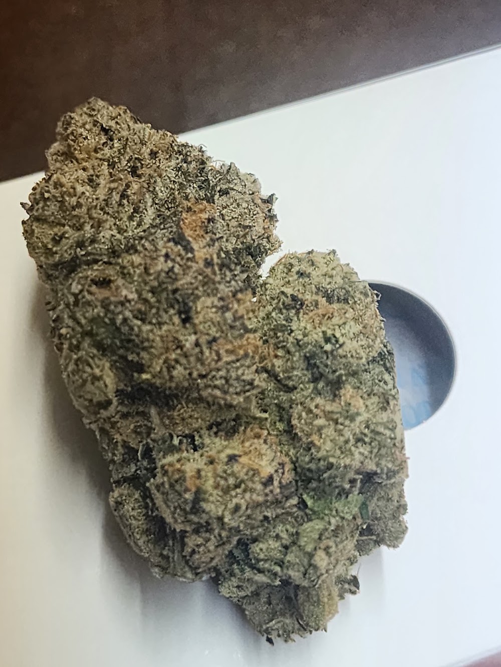 C By Country Grown - Huntington photo 4