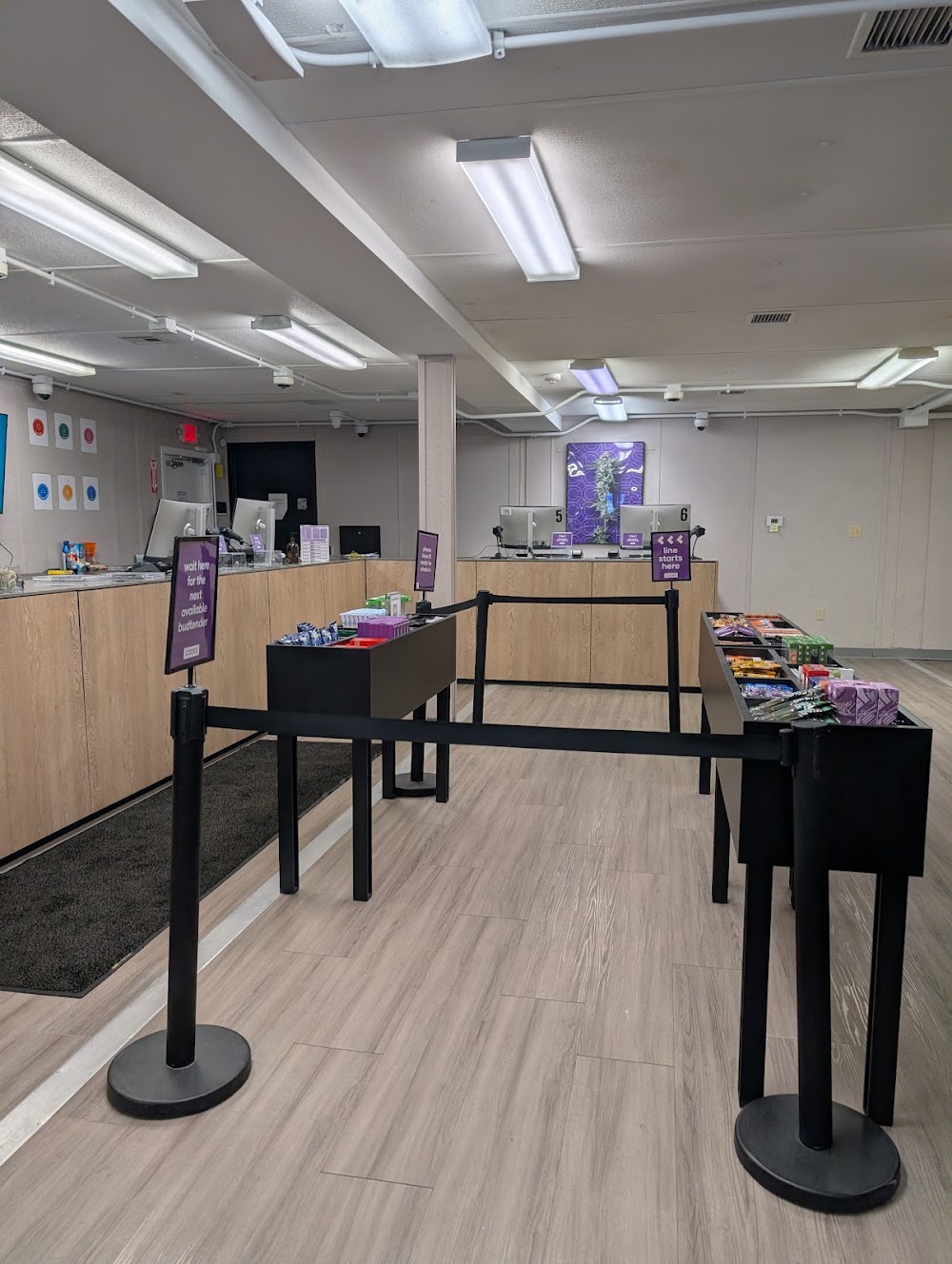 C Cannabis Dispensary photo 2