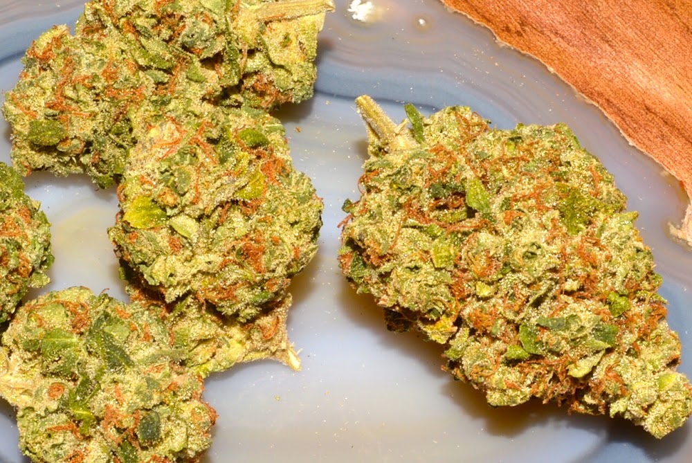 Cabin Cannabis photo 2