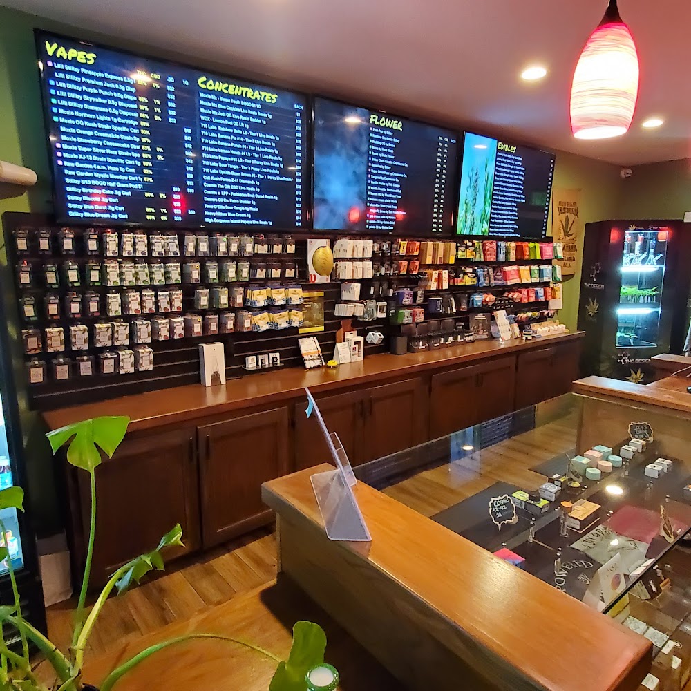 California Coastal Cannabis photo 5