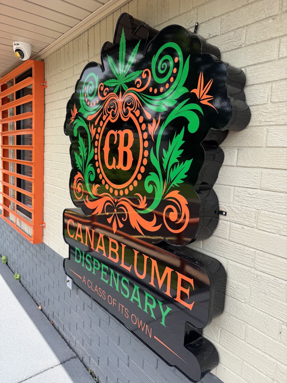 Canablume photo 6