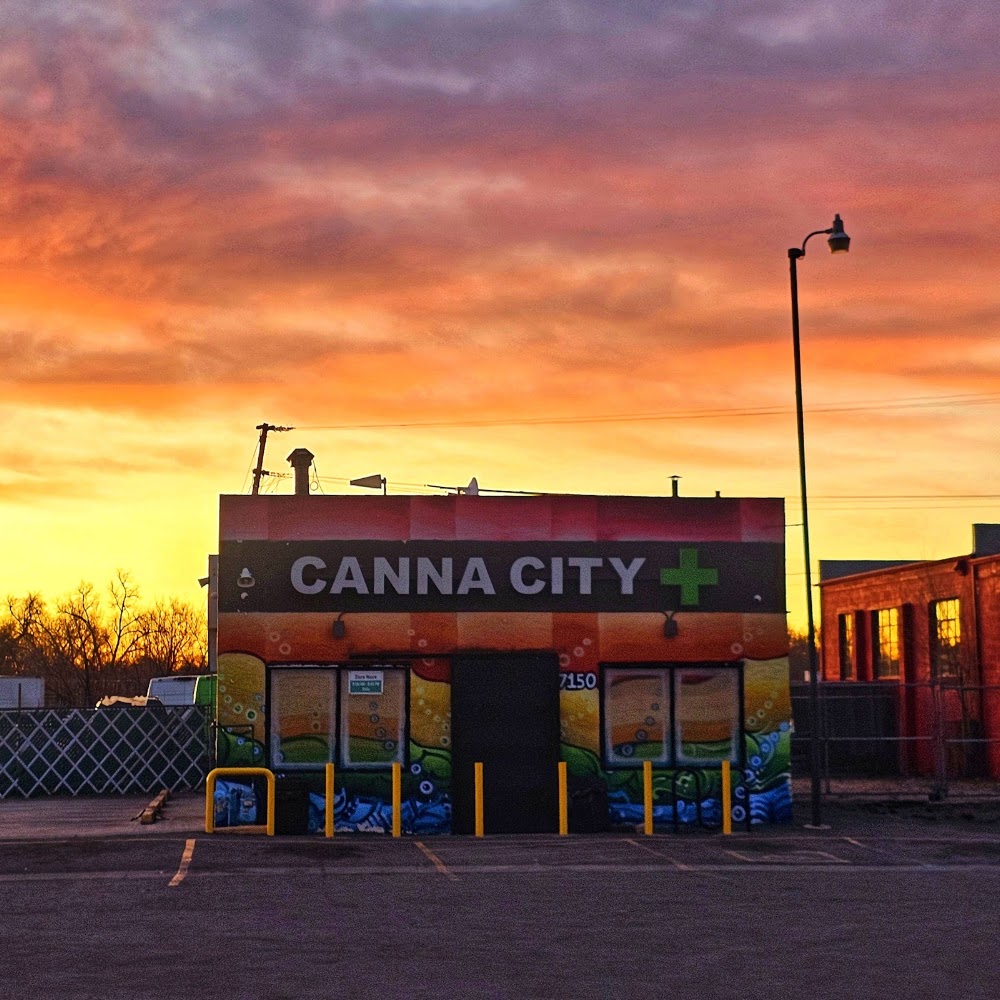 Canna City photo 4