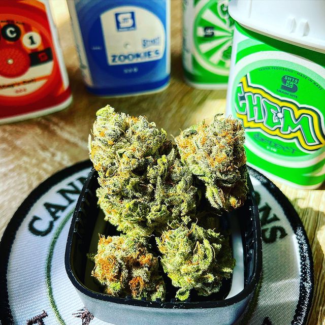 Canna Provisions photo 7