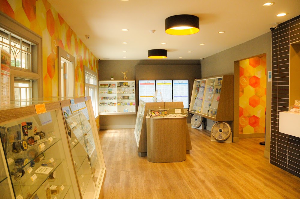Canna West Seattle photo 6