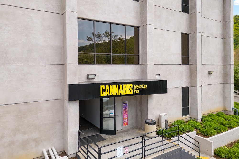 Cannabis 21+ photo 7