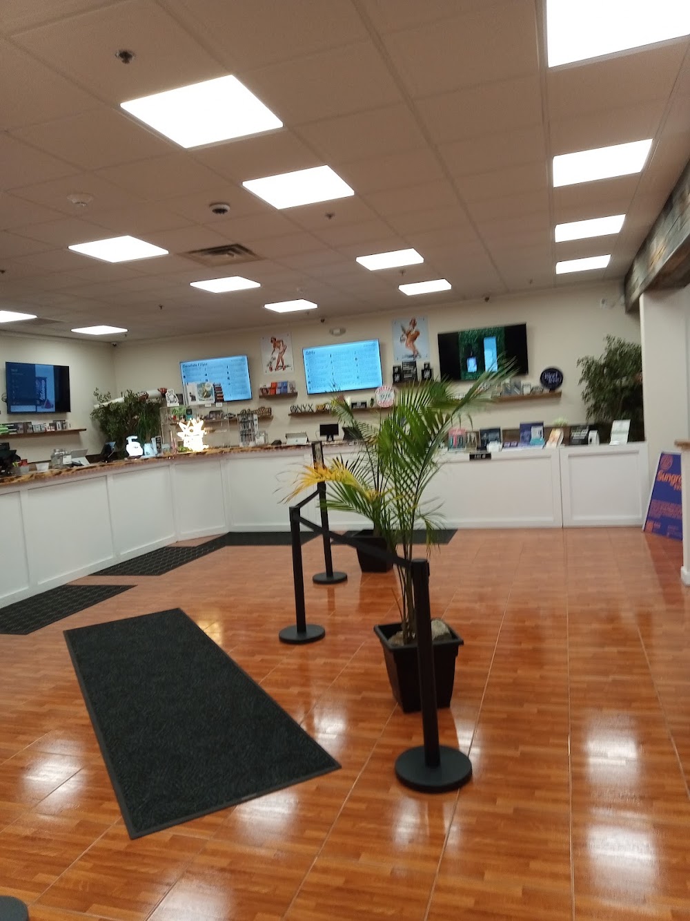 Cannabis Clubhouse photo 5