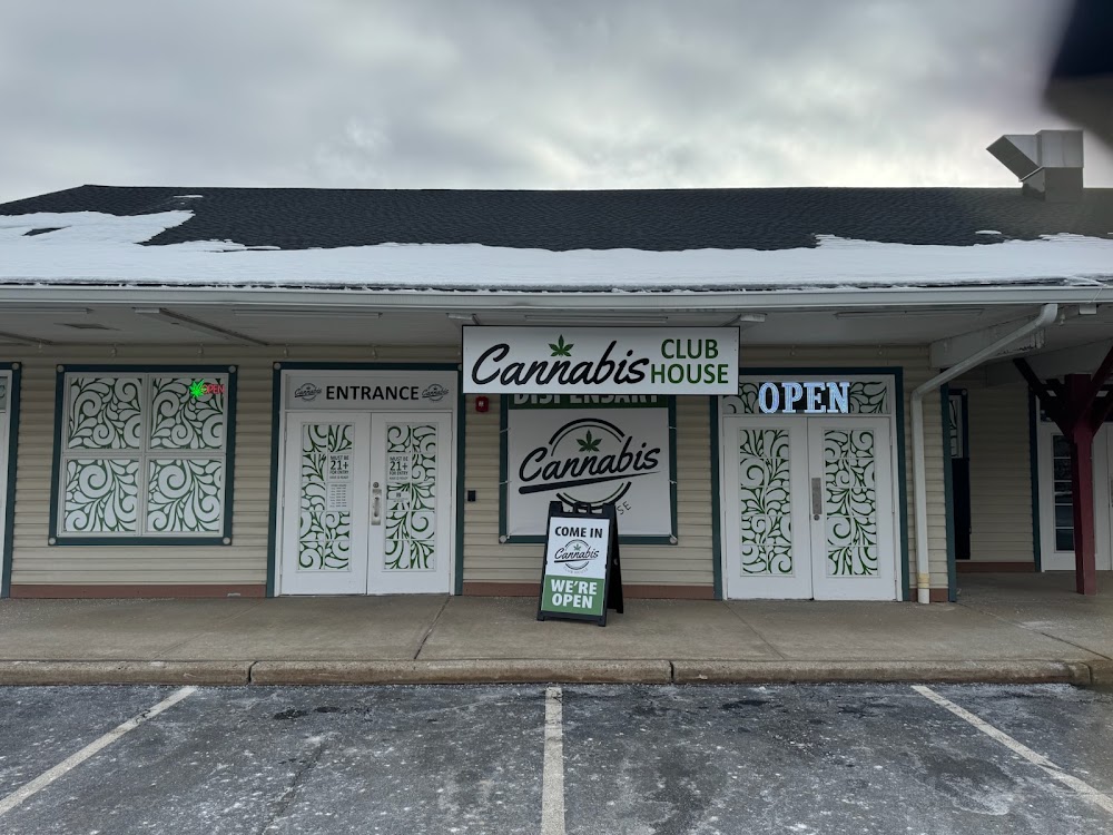 Cannabis Clubhouse photo 6