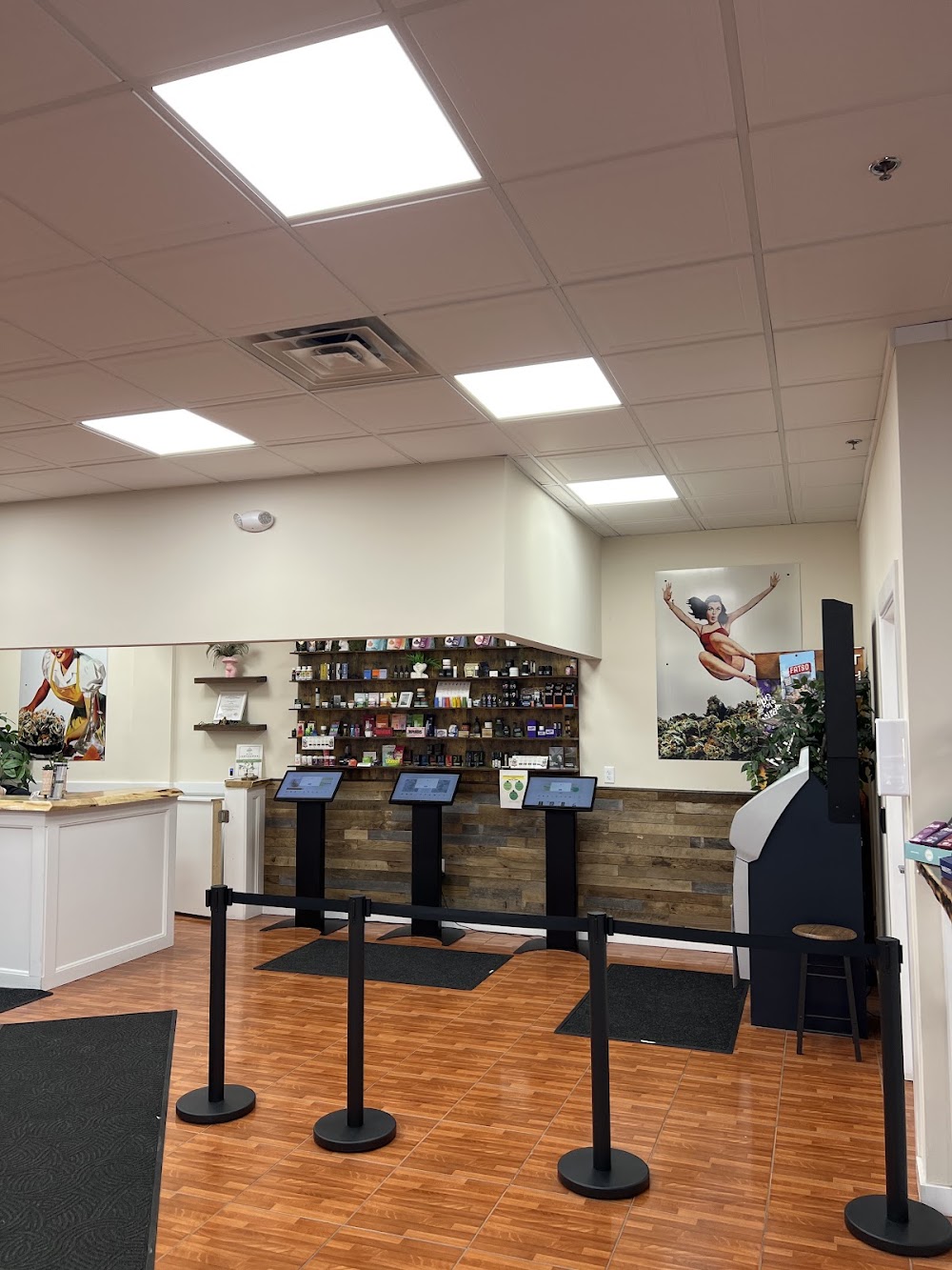Cannabis Clubhouse photo 7