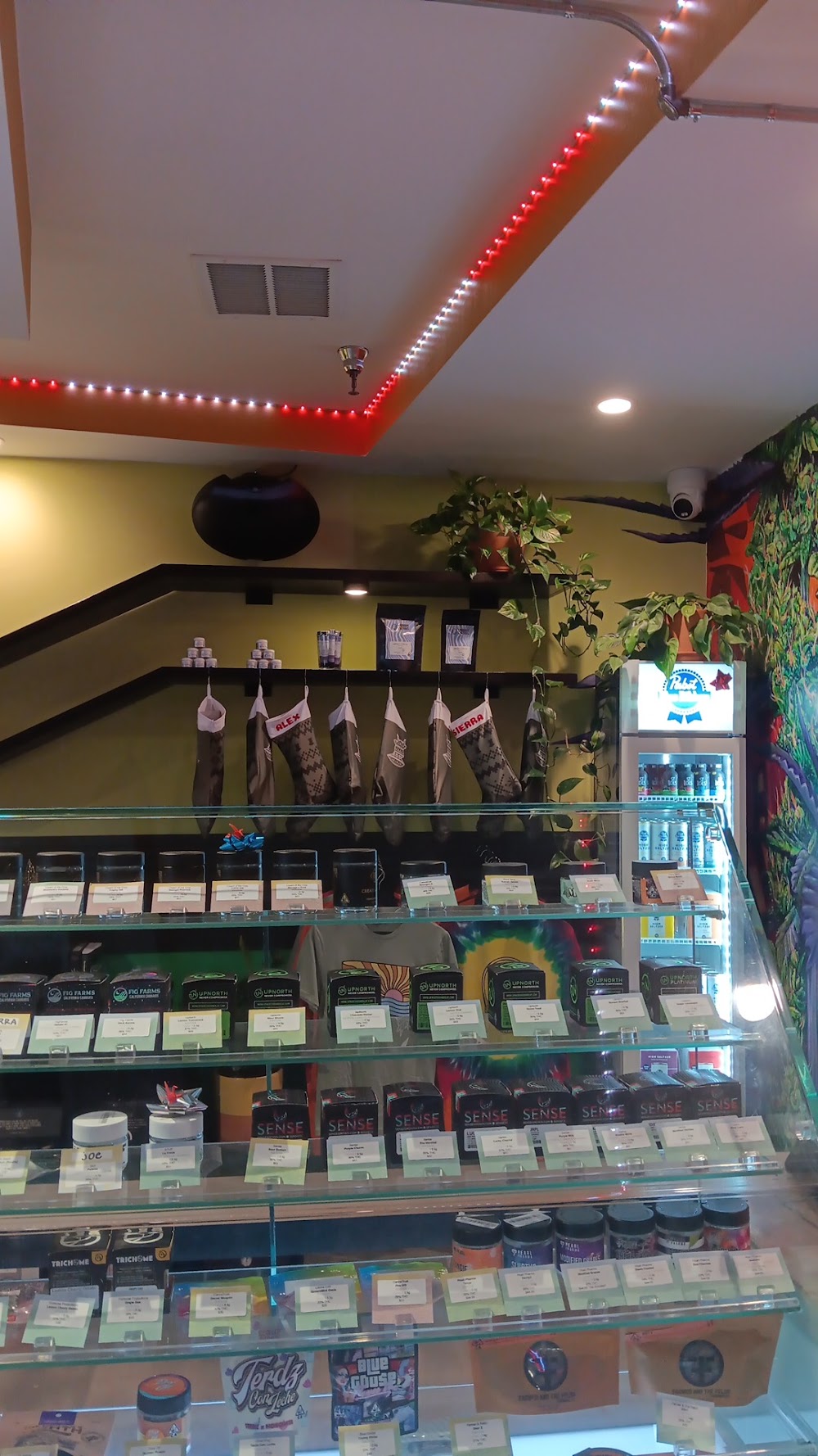 Cannabis Cultures photo 2