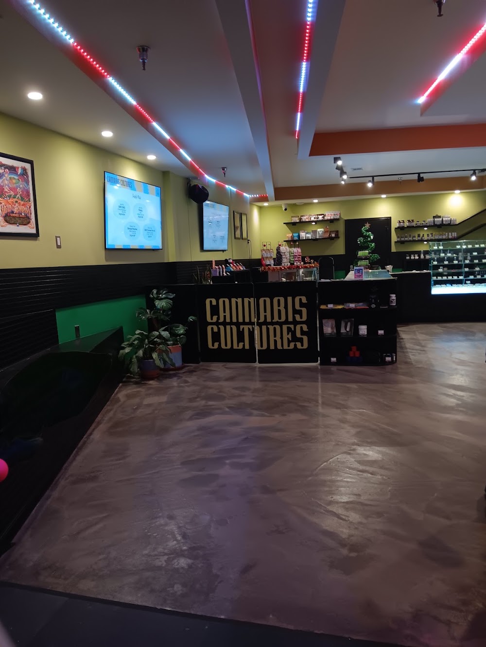 Cannabis Cultures photo 8