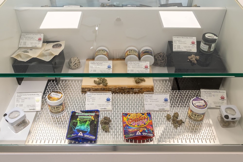 Cannabis Haven Auburn 20 Union St Au photo 8