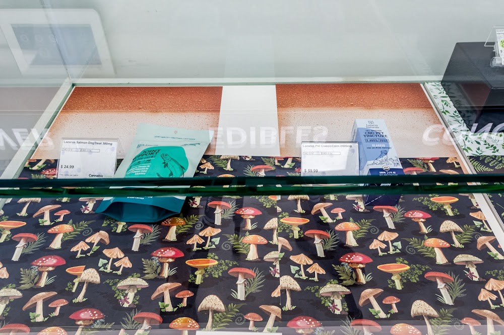 Cannabis Haven Augusta 265 Western Ave photo 4