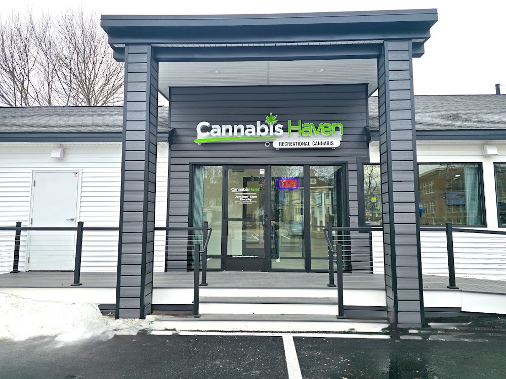 Cannabis Haven Portland 1236 Congress St photo 1