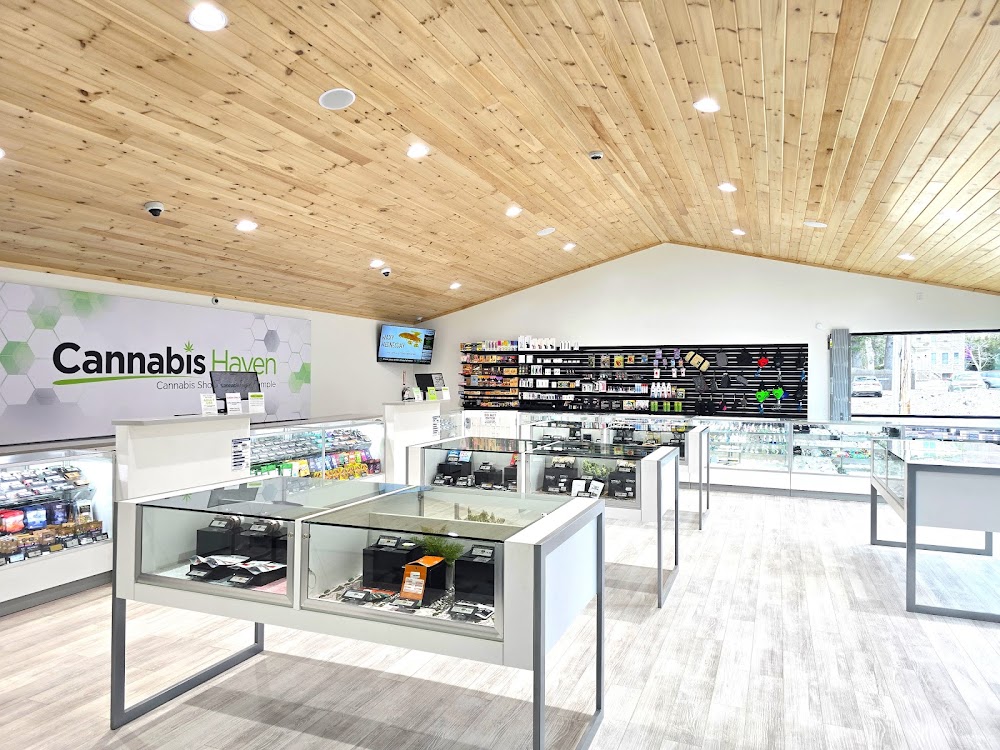 Cannabis Haven Portland 1236 Congress St photo 6
