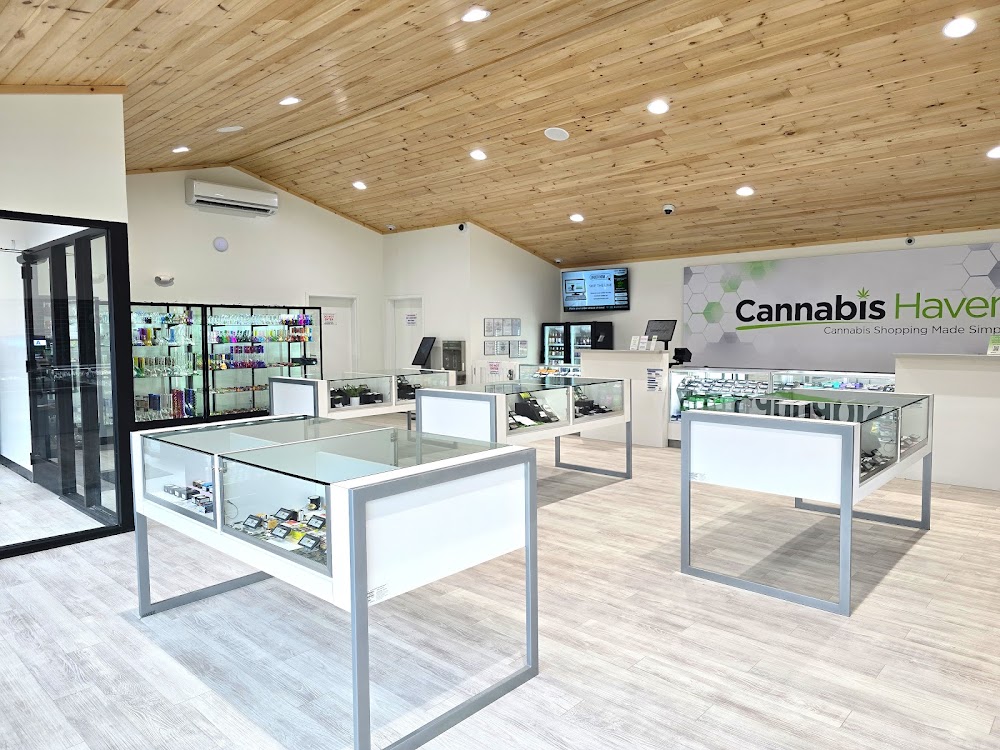 Cannabis Haven Portland 1236 Congress St photo 8