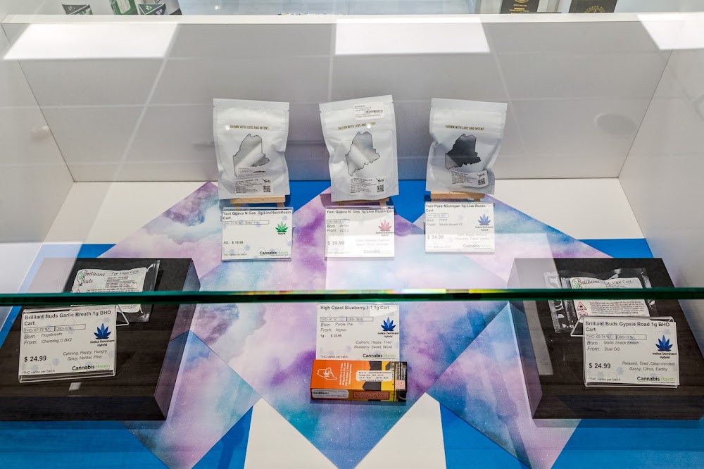 Cannabis Haven photo 8