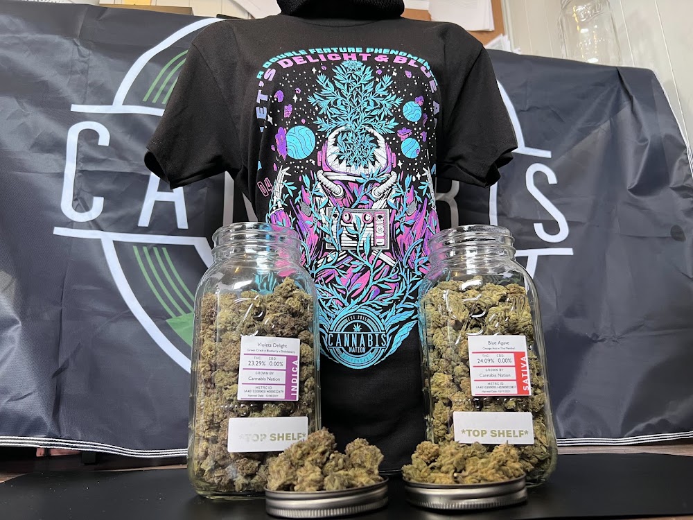Cannabis Nation photo 4