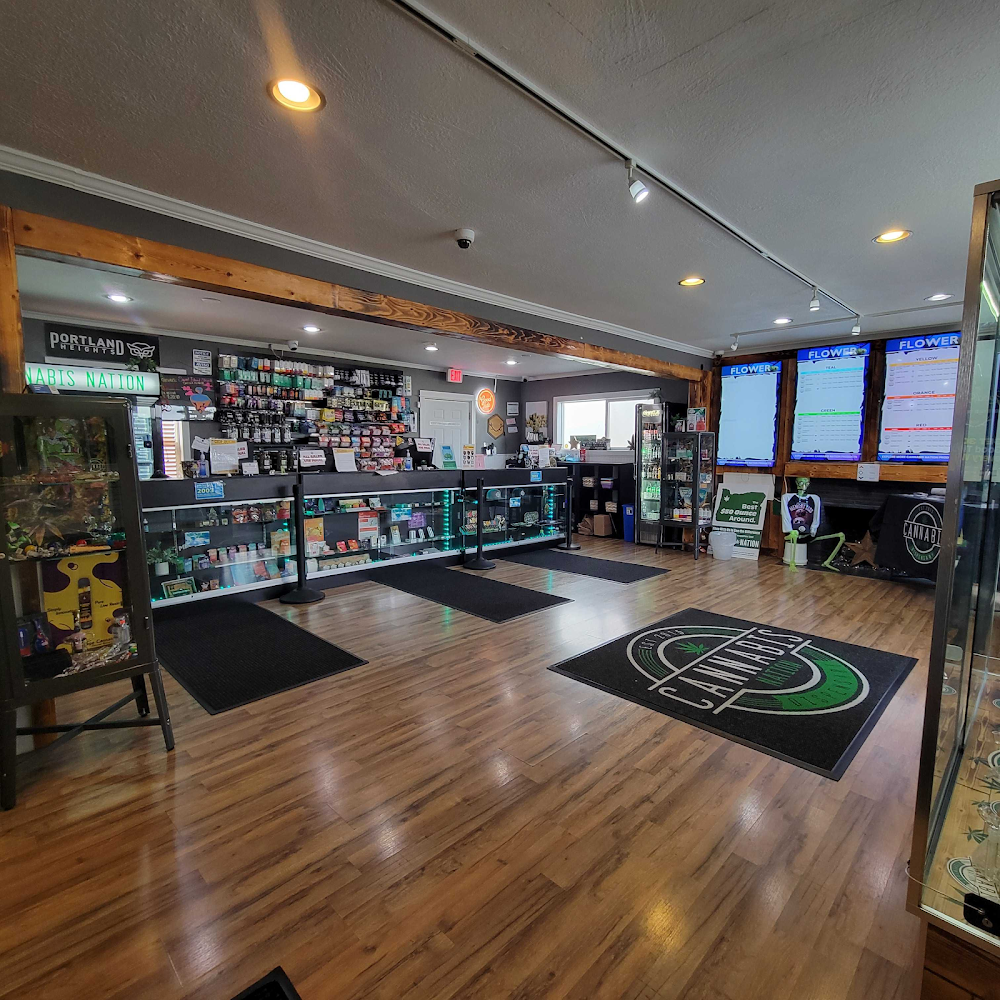 Cannabis Nation photo 5