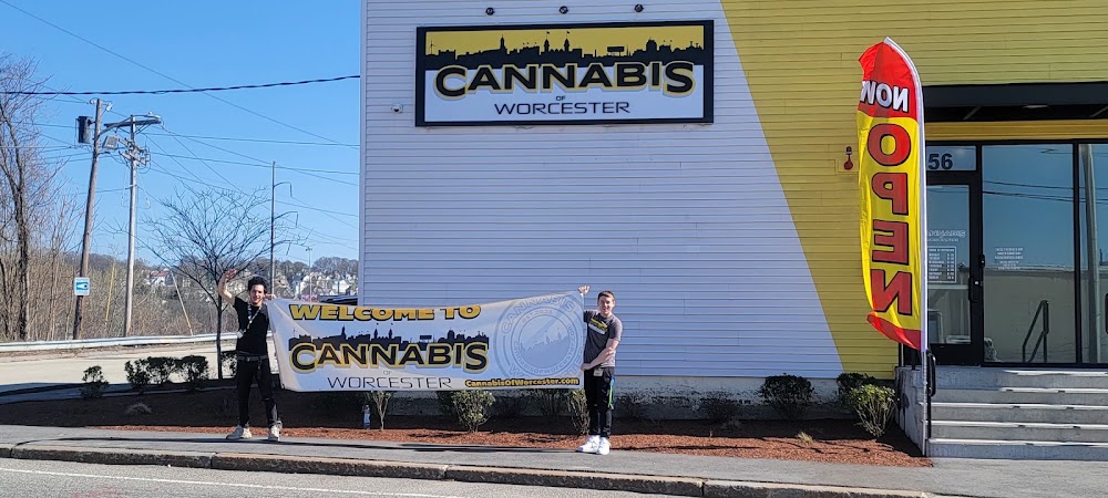 Cannabis Of Worcester photo 4