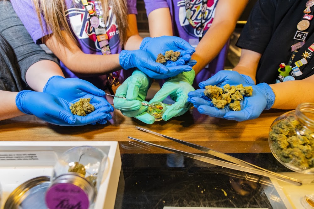 Cannabis Station photo 7