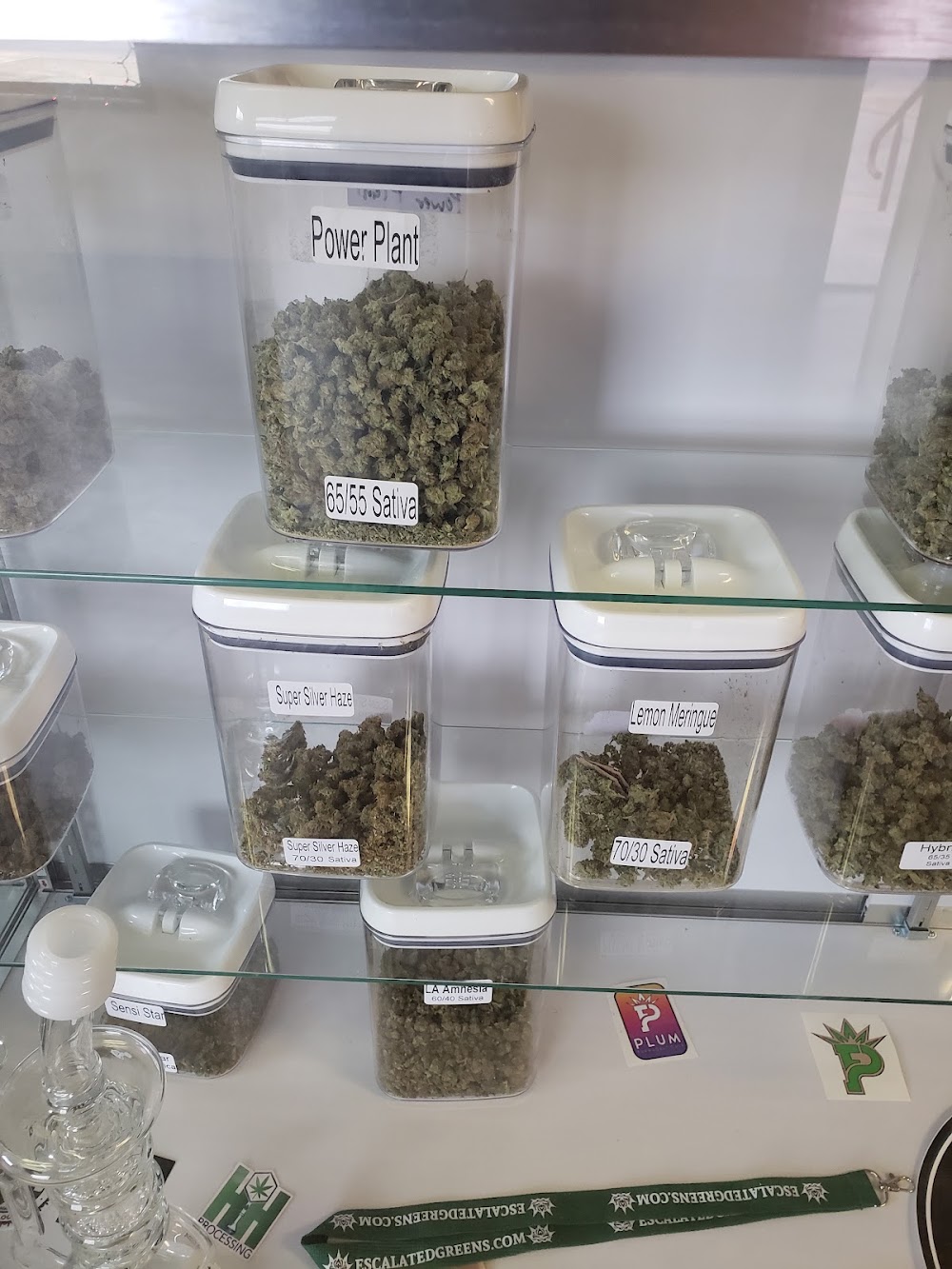Cannajacks - Grove photo 7