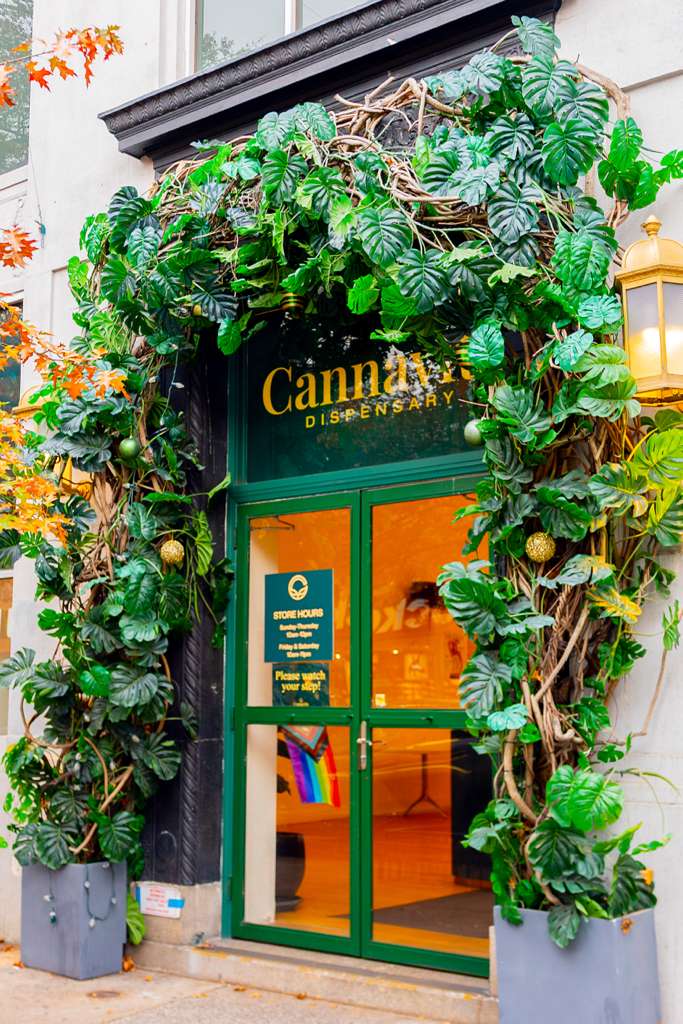 Cannavita photo 1