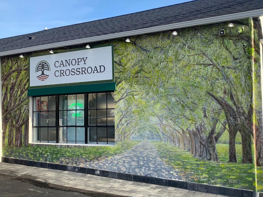 Canopy Crossroad photo 7