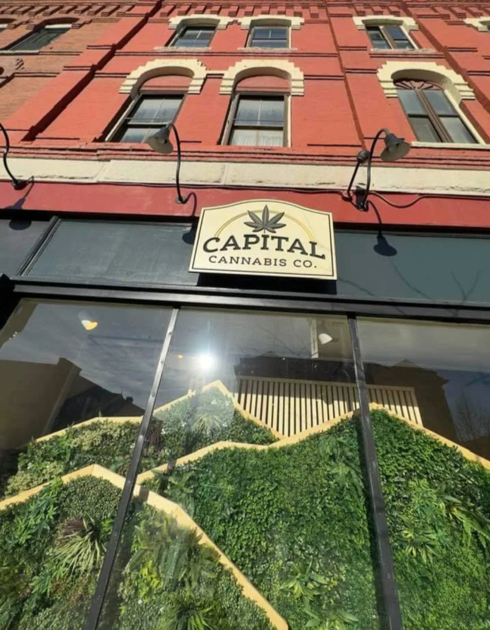 Capital Cannabis Company photo 1