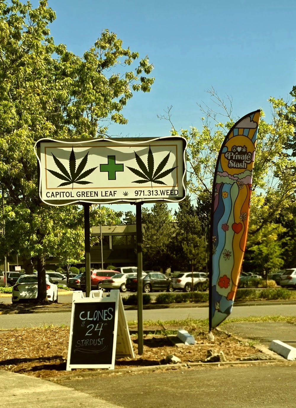 Capitol Green Leaf photo 8