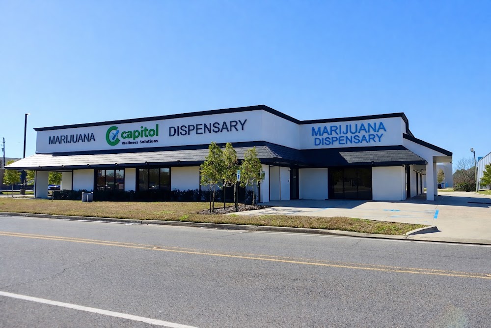 Capitol Wellness Solutions - O'neal Lane photo 3