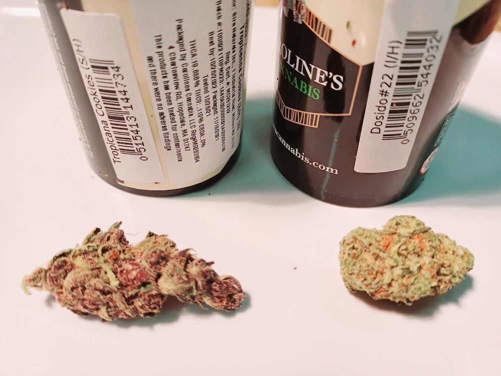 Caroline's Cannabis photo 4