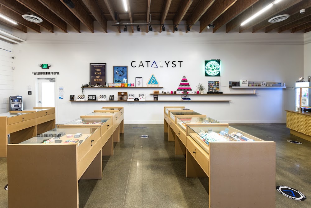 Catalyst - Bellflower photo 8