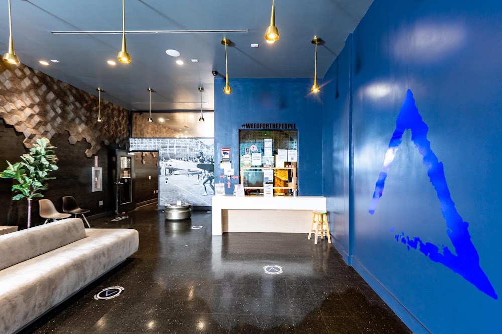 Catalyst - Belmont Shore photo 3