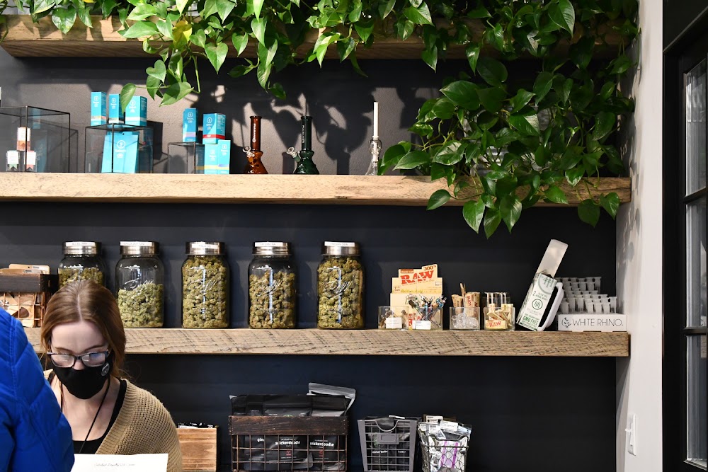 Catalyst Cannabis Company photo 5