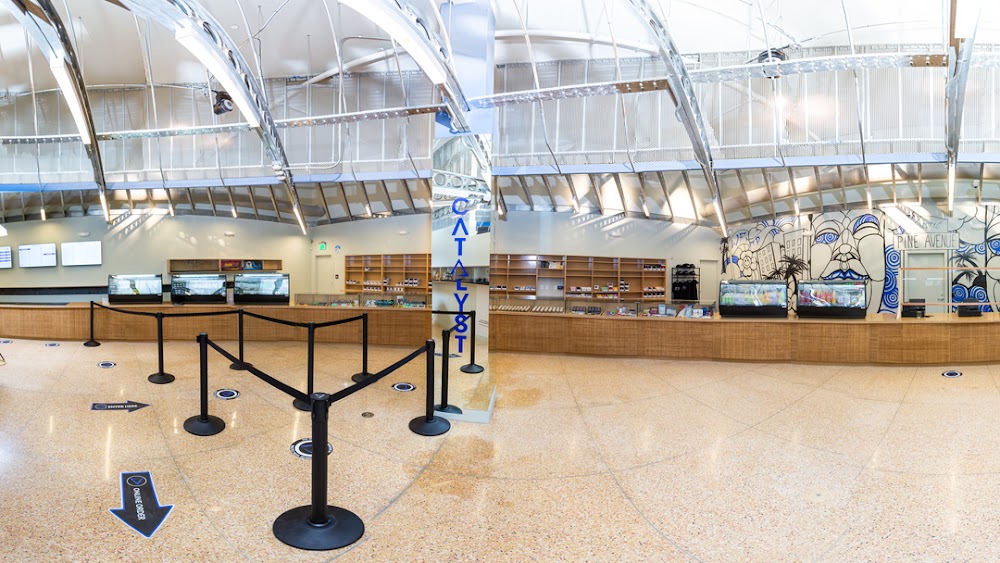 Catalyst - Dtlb photo 5
