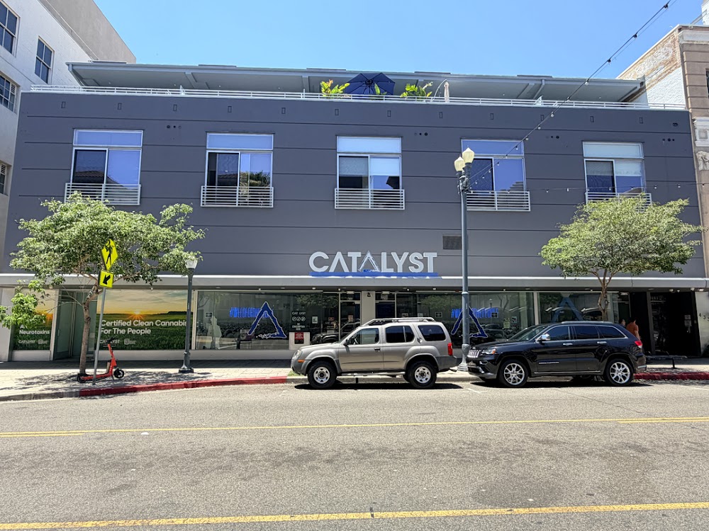 Catalyst - Dtlb photo 7