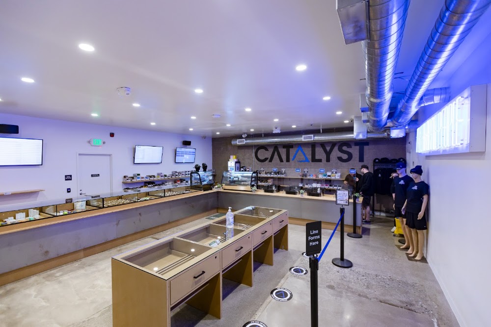 Catalyst - Normandie photo 4