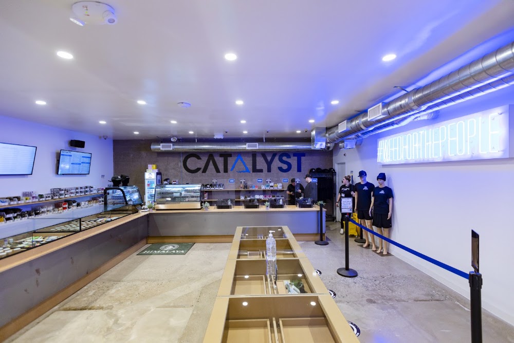 Catalyst - Normandie photo 7