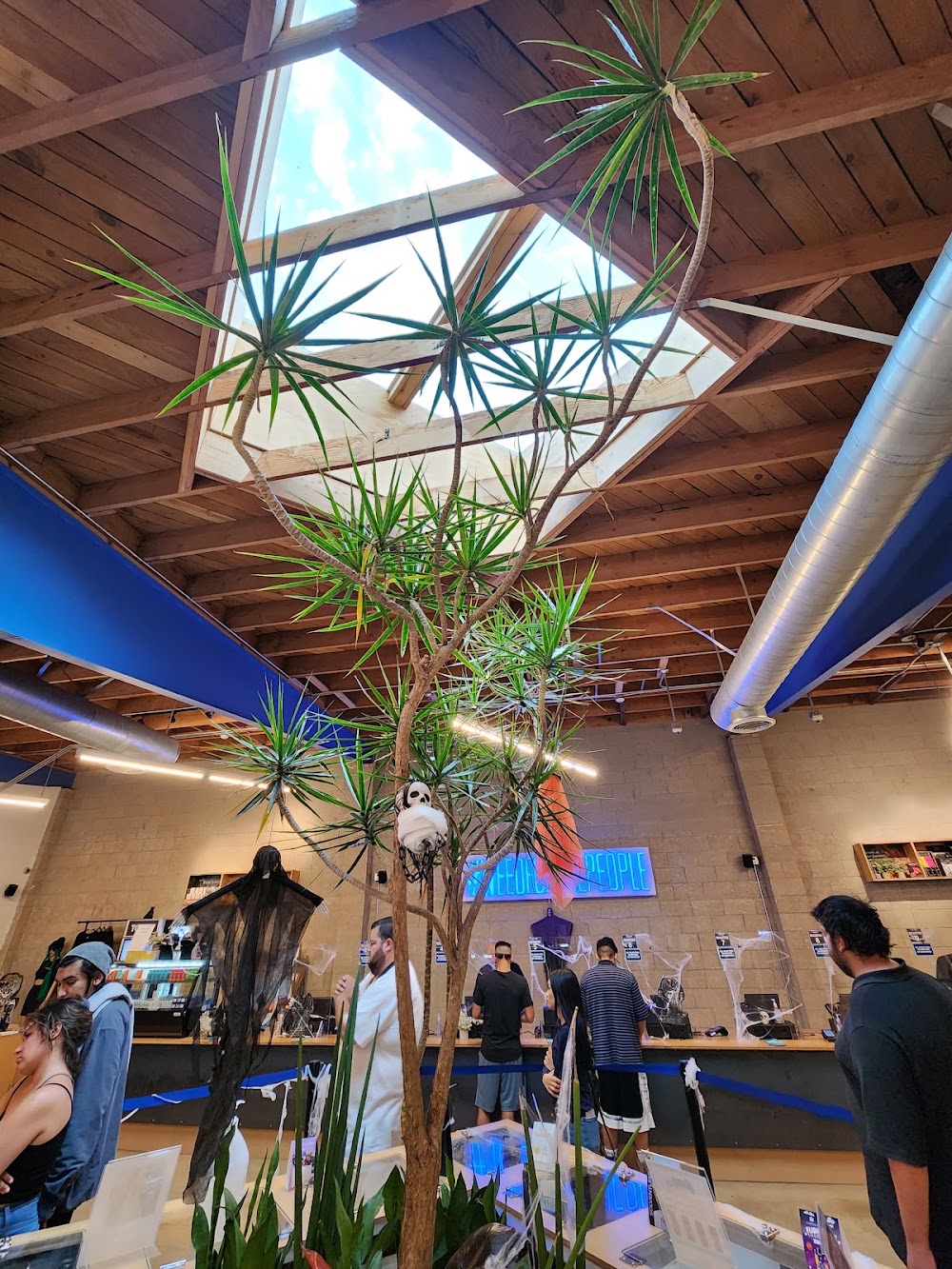 Catalyst - Pomona photo 3