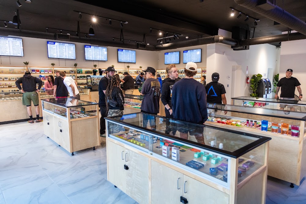 Catalyst Van Nuys photo 3
