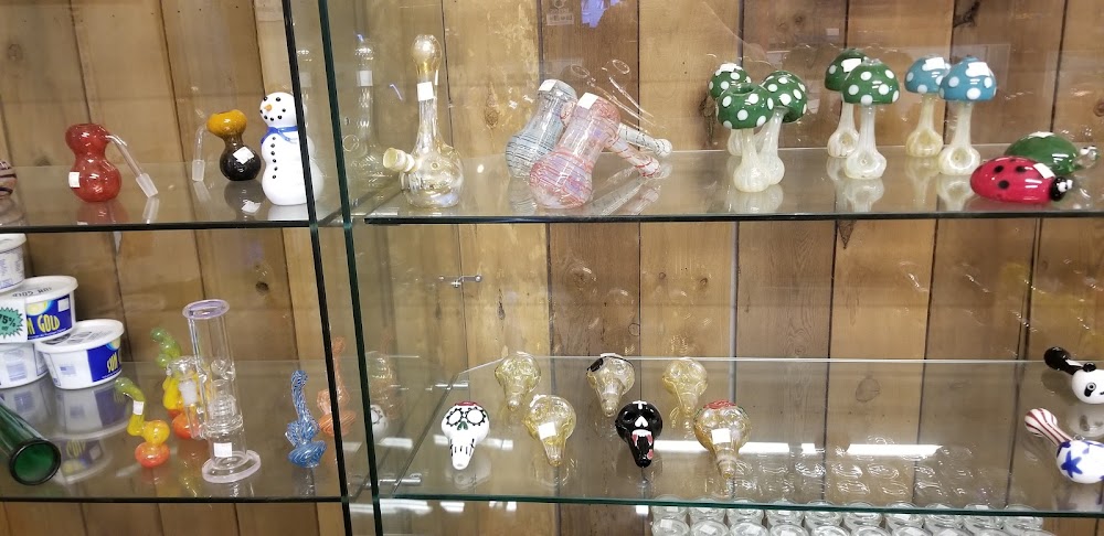Central Organics photo 8