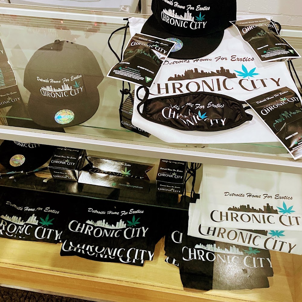 Chronic City photo 2