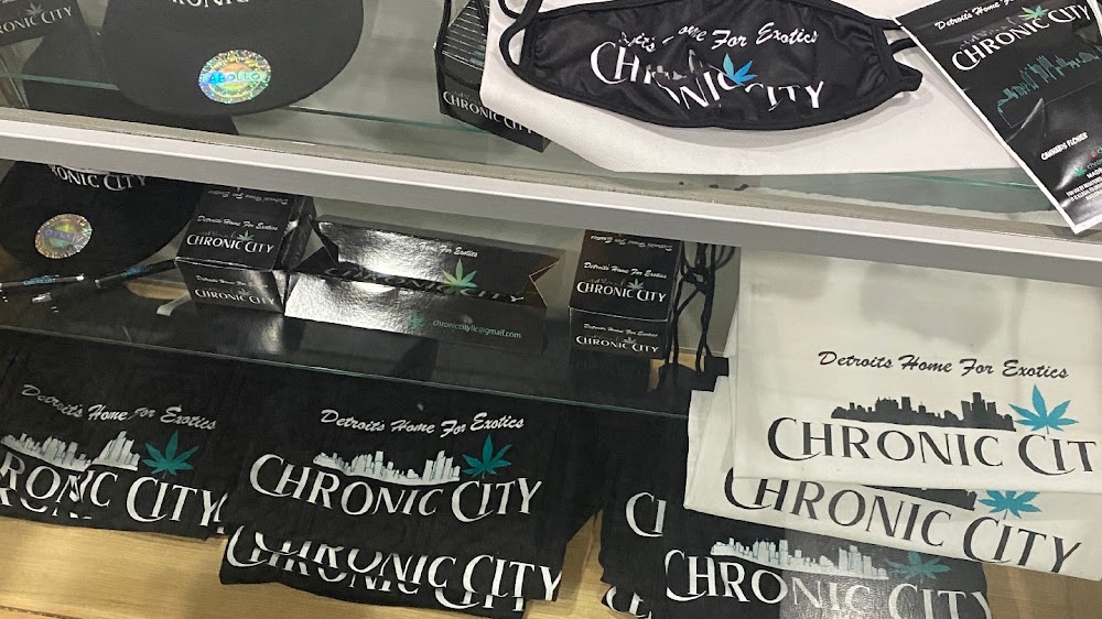 Chronic City photo 4