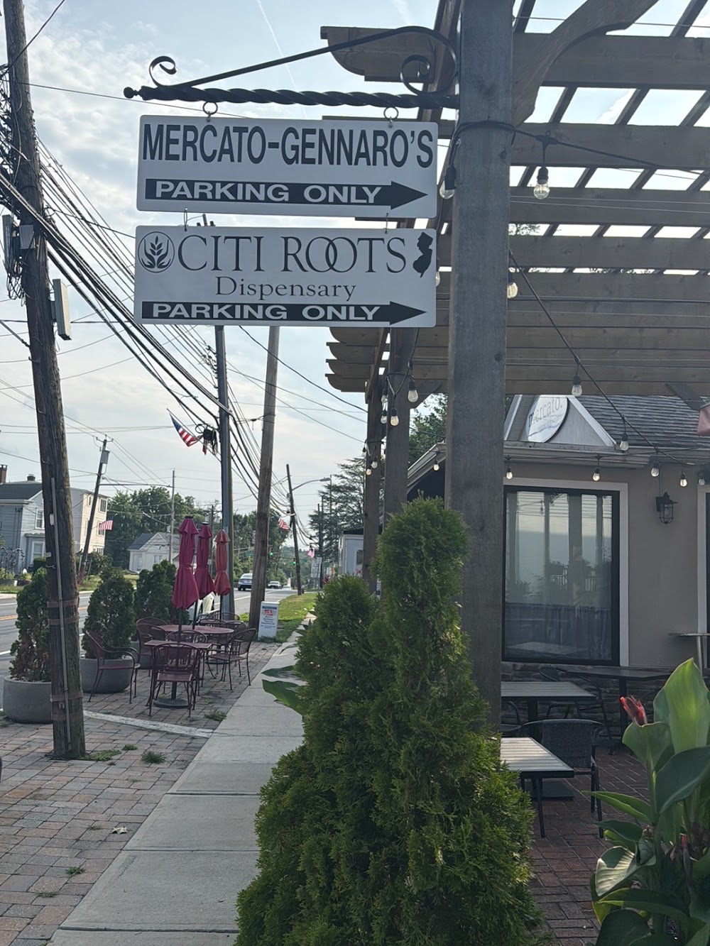 Citi Roots photo 5