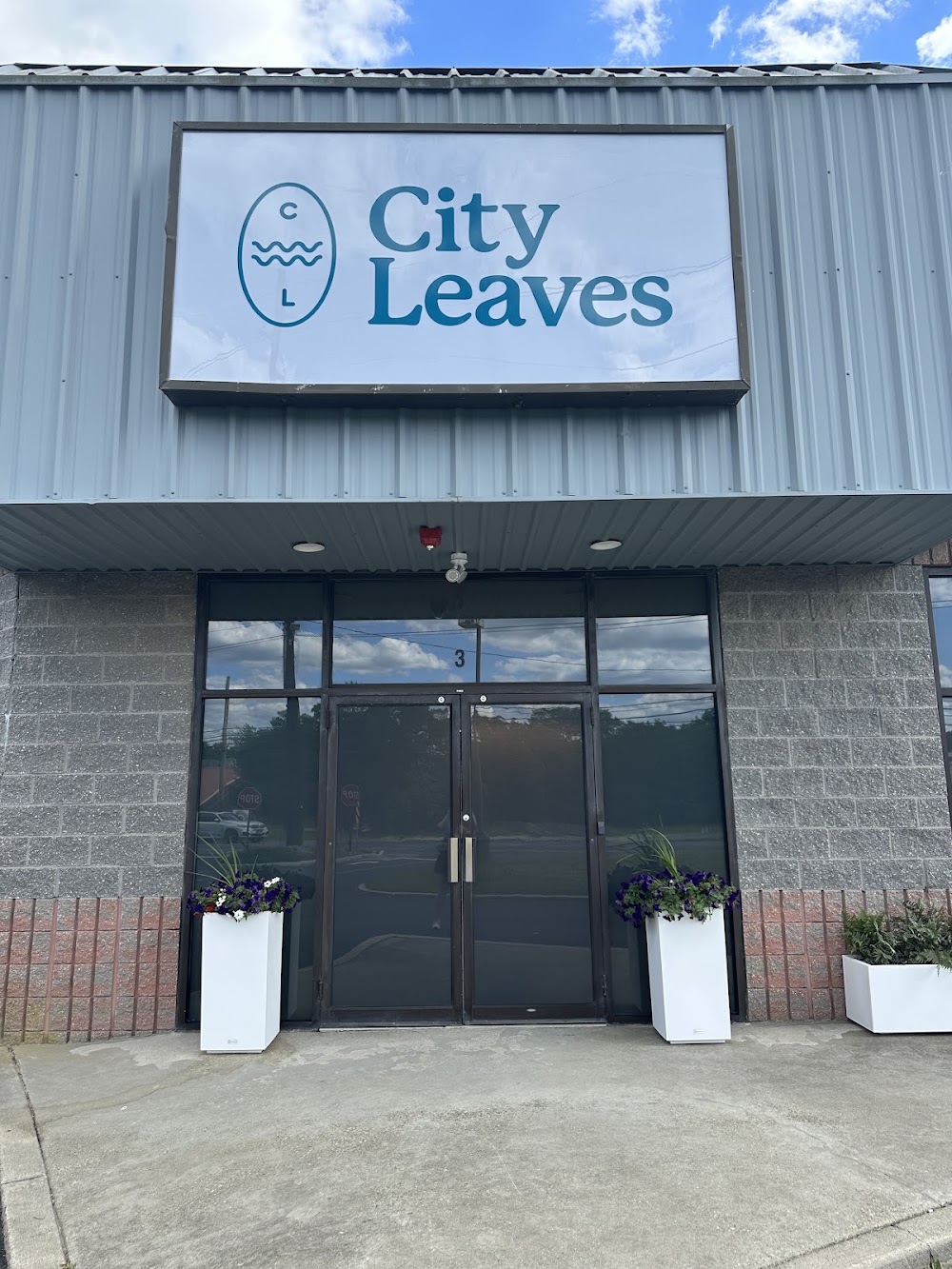 City Leaves photo 1