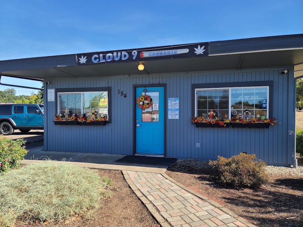 Cloud 9 Cannabis photo 7