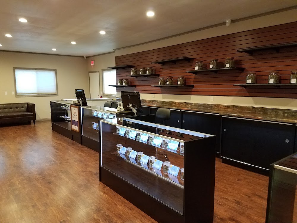 Cloud 9 Wellness photo 8