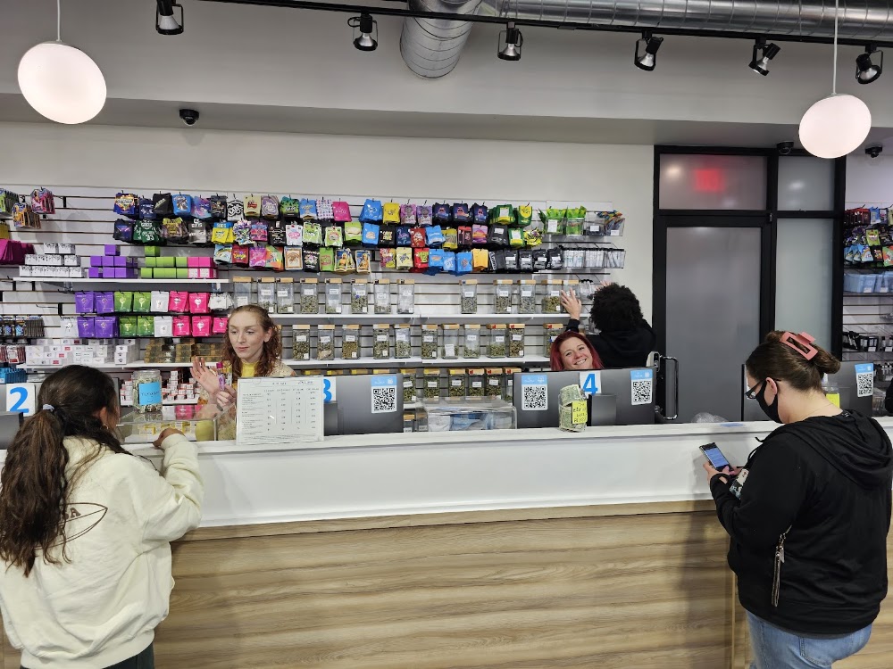 Cloud Cannabis Company photo 5
